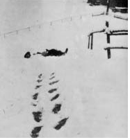 Capture d_écran 2018-02-08 à 11.46.38