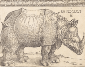 Dürer, Rhinocerus