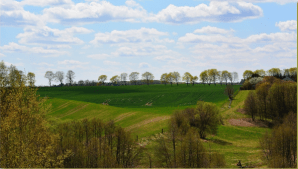 Pommersche Landschaft